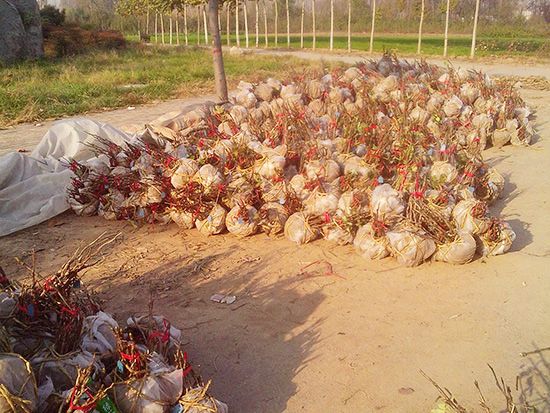 發(fā)貨現(xiàn)場(chǎng)