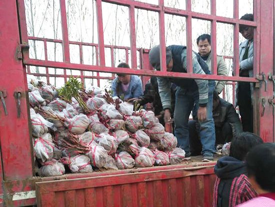 發(fā)貨現(xiàn)場(chǎng)