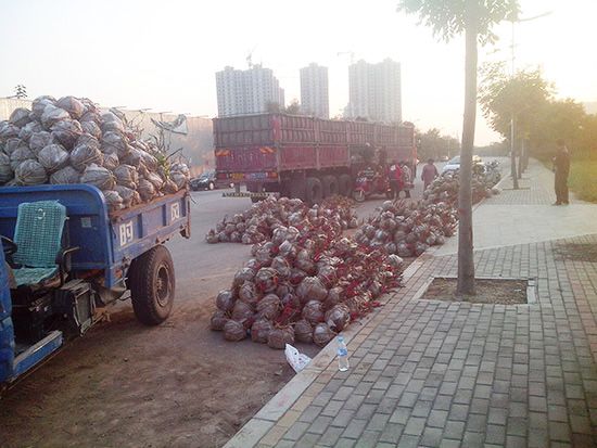 發(fā)貨現(xiàn)場