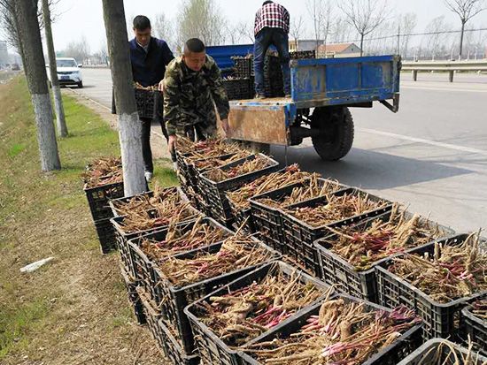 發(fā)貨現(xiàn)場